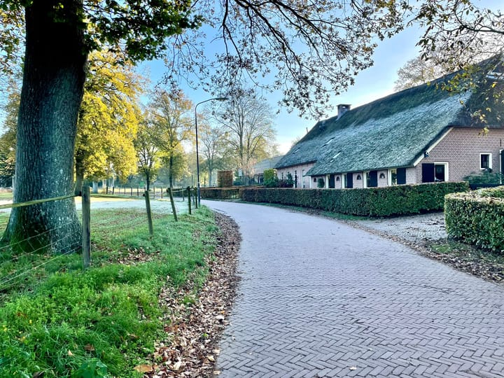 Photo 48 of Oringerbrink 162