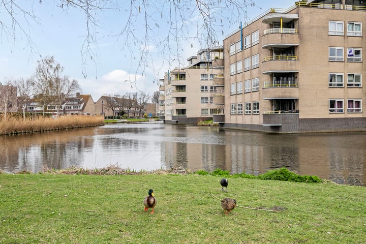 Foto 57 van Mazurka 45