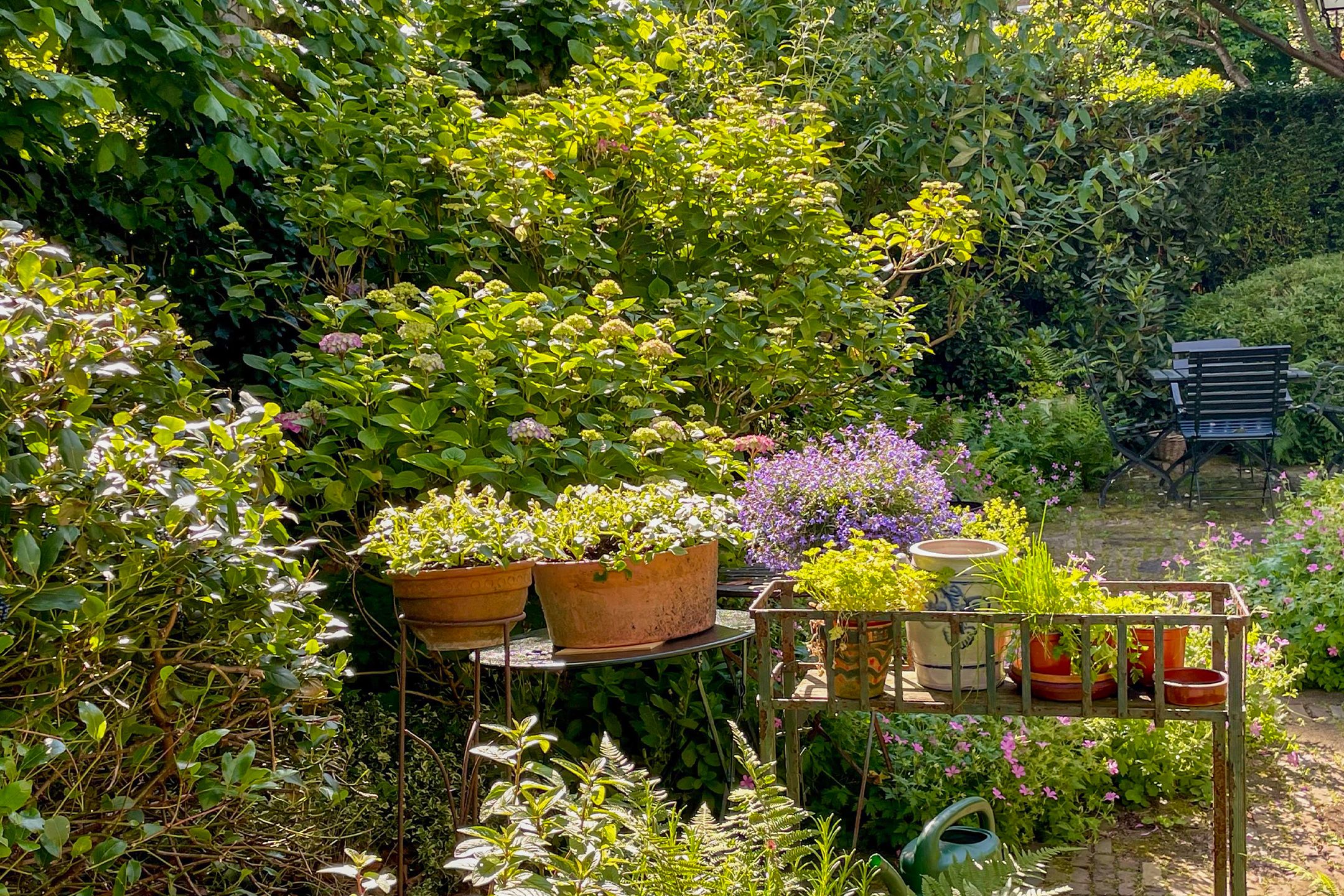 Photo 39 of Vijverlaan 4