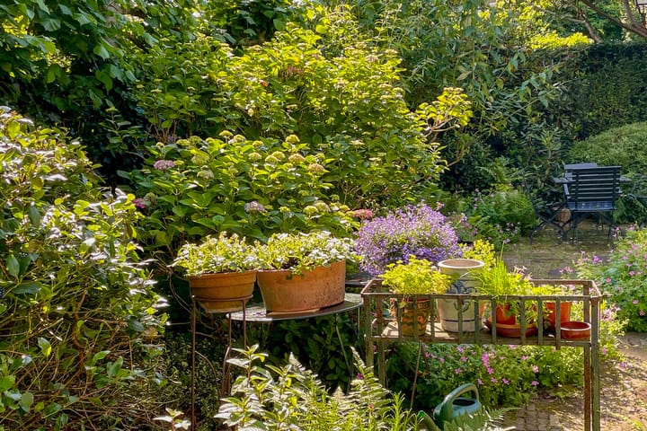 Foto 39 van Vijverlaan 4