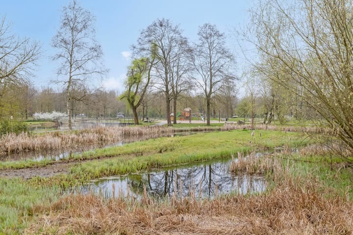 Photo 32 of Tongelaer 14