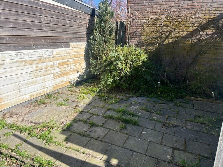 Photo 15 of Arumerweg 81