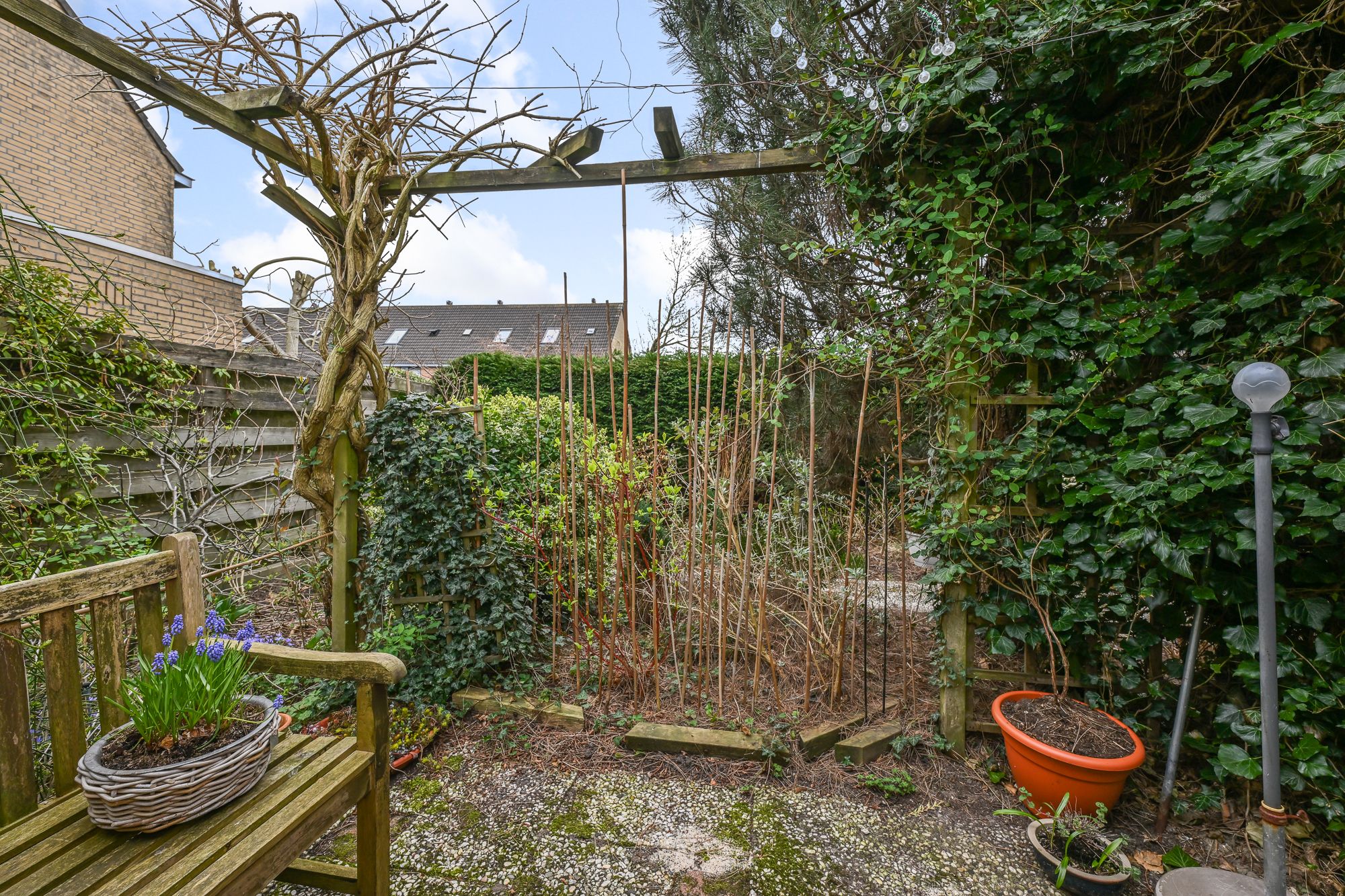 Photo 39 of Frankrijkpark 27