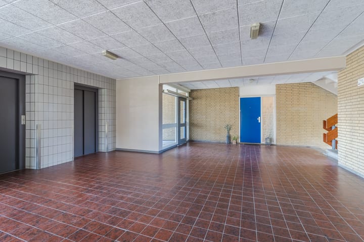 Foto 6 van Griegplein 52