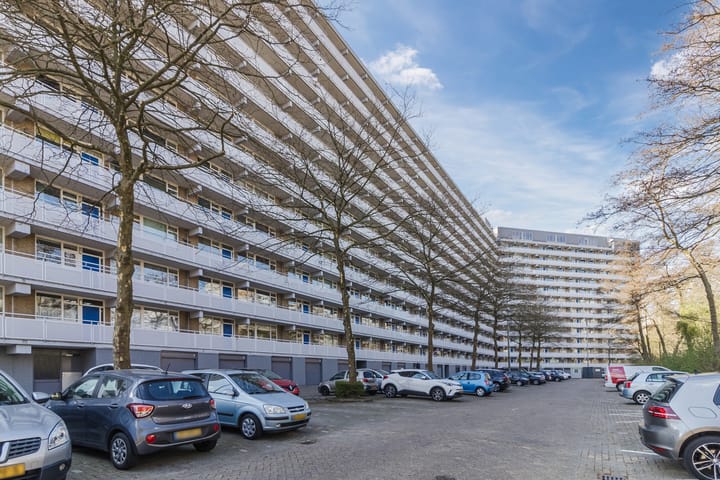 Foto 34 van Griegplein 52