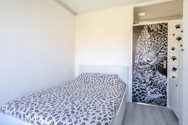 Foto 28 van Generaal S.H. Spoorstraat 233