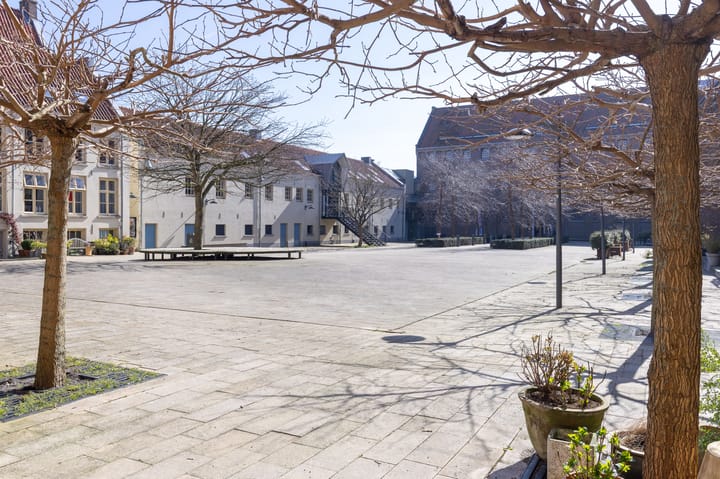 Foto 6 van Krententuin 14