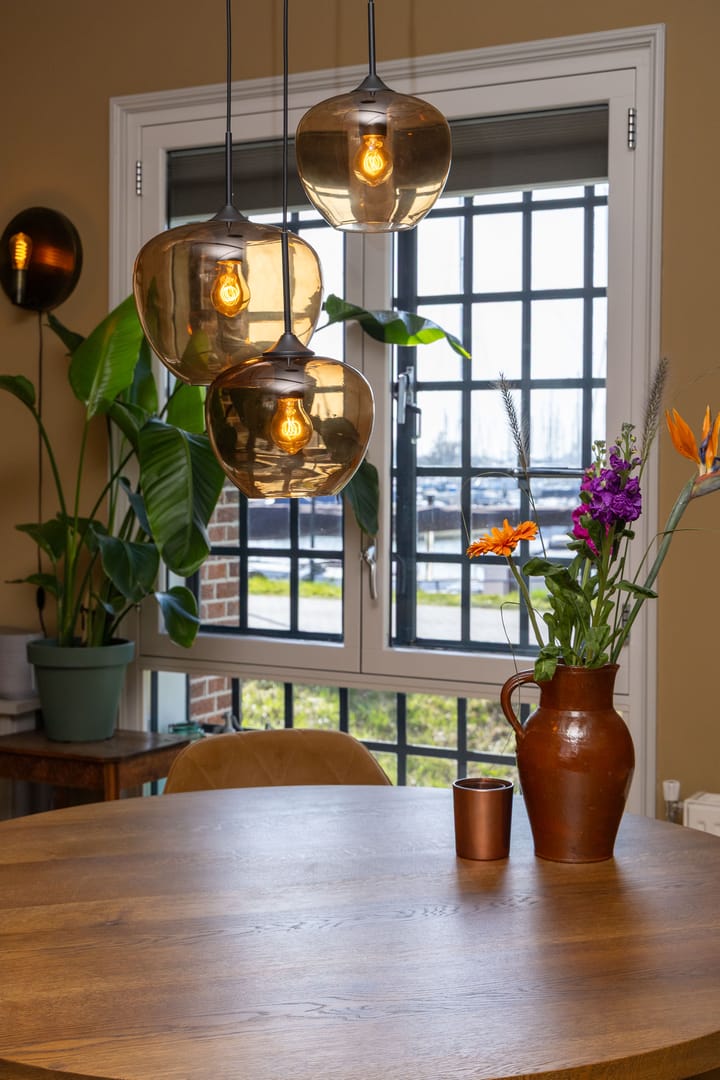 Foto 20 van Krententuin 14