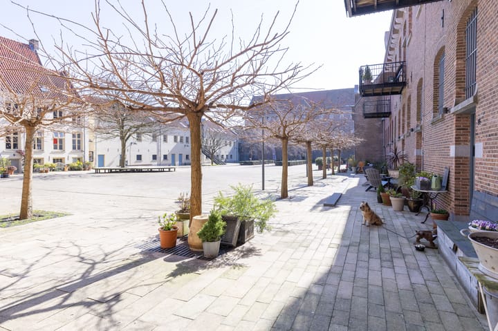 Foto 46 van Krententuin 14