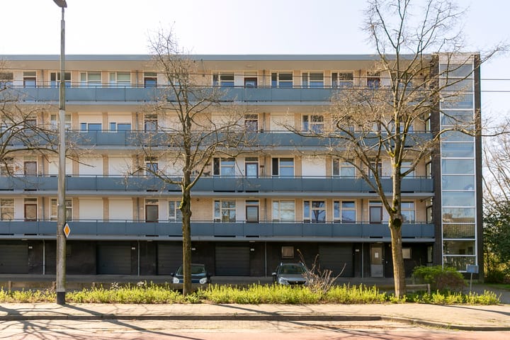 Foto 20 van Middachtensingel 202