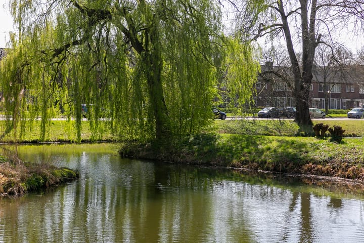 Foto 22 van Middachtensingel 202