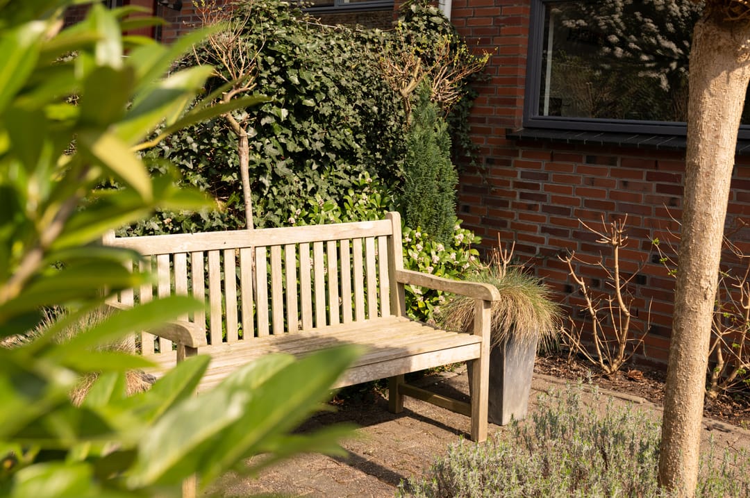 Foto 38 van Boomvalk 19