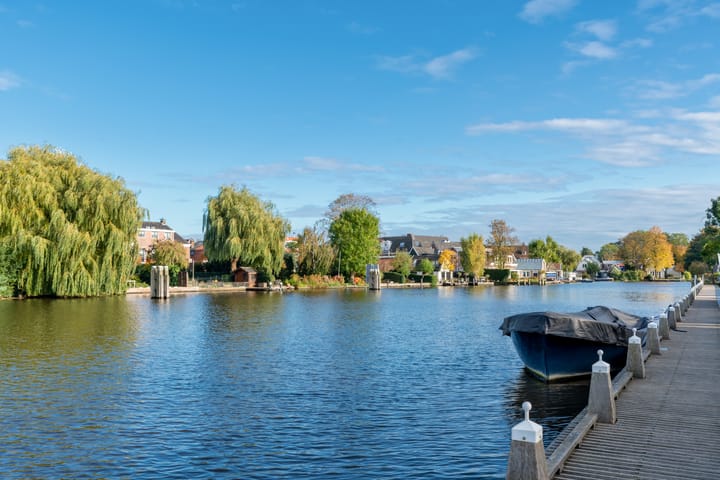 Foto 42 van Boomvalk 19