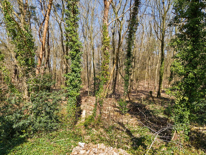 Photo 53 of Ermerzand 172