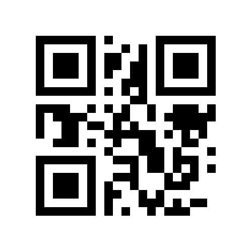 Foto 54 van Ermerzand 172