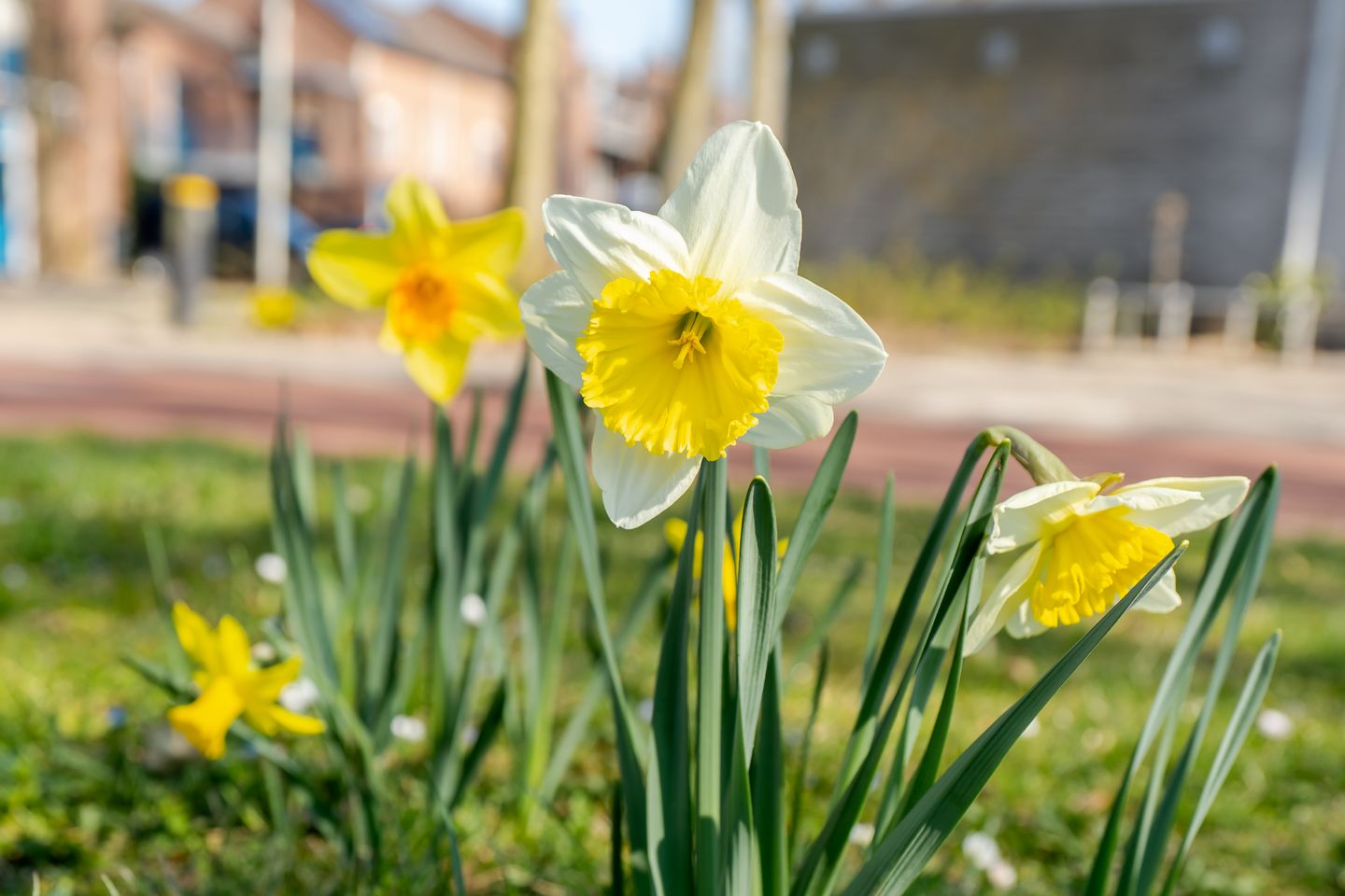 Foto 25 van Randhoeve 223-207