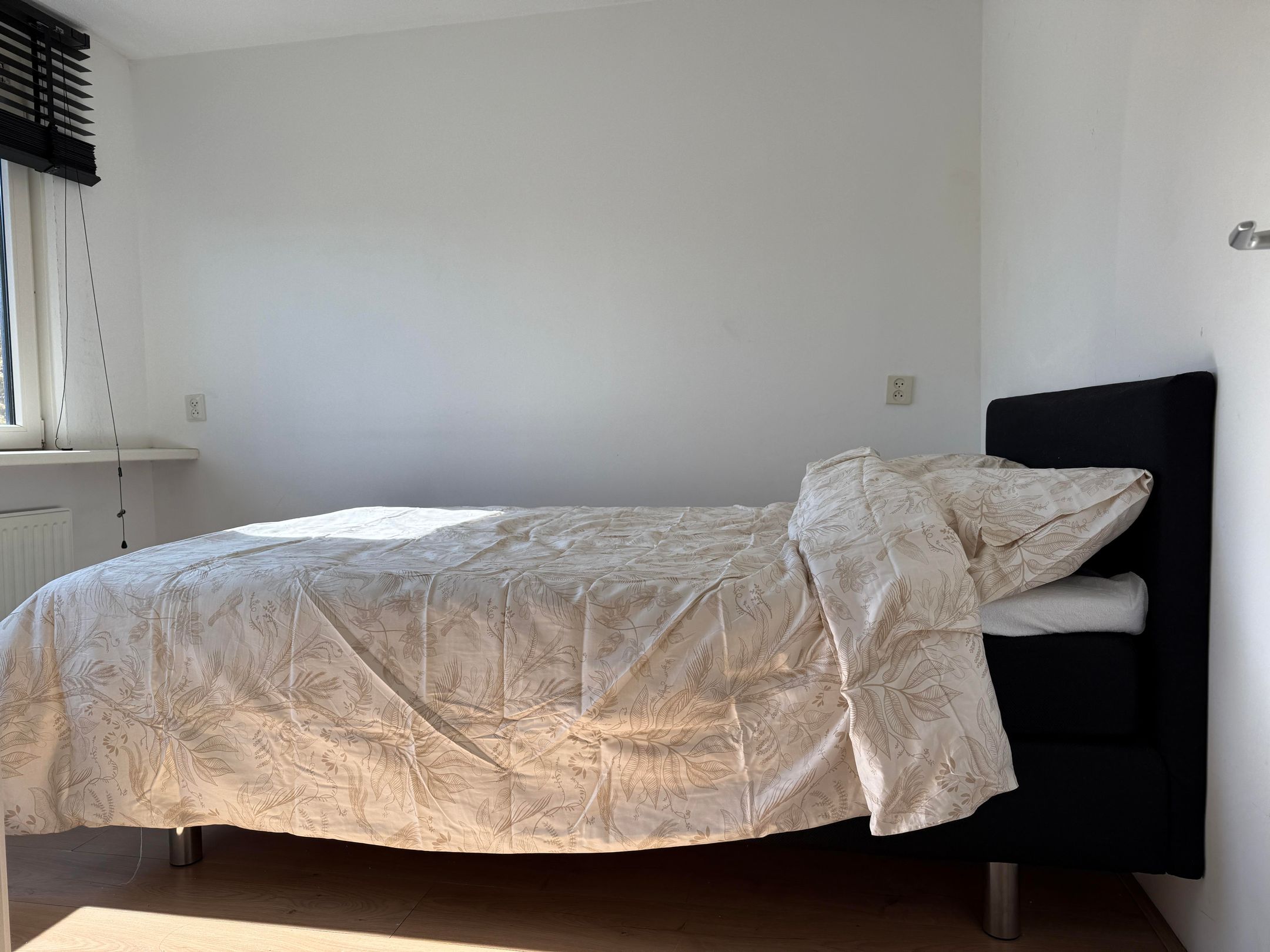 Foto 12 van Botter 43 20