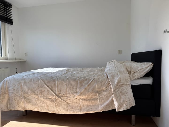 Foto 12 van Botter 43 20