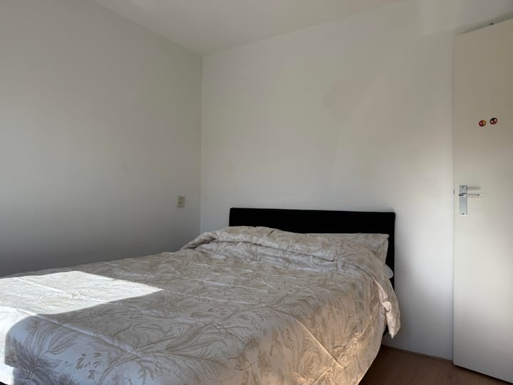 Foto 11 van Botter 43 20