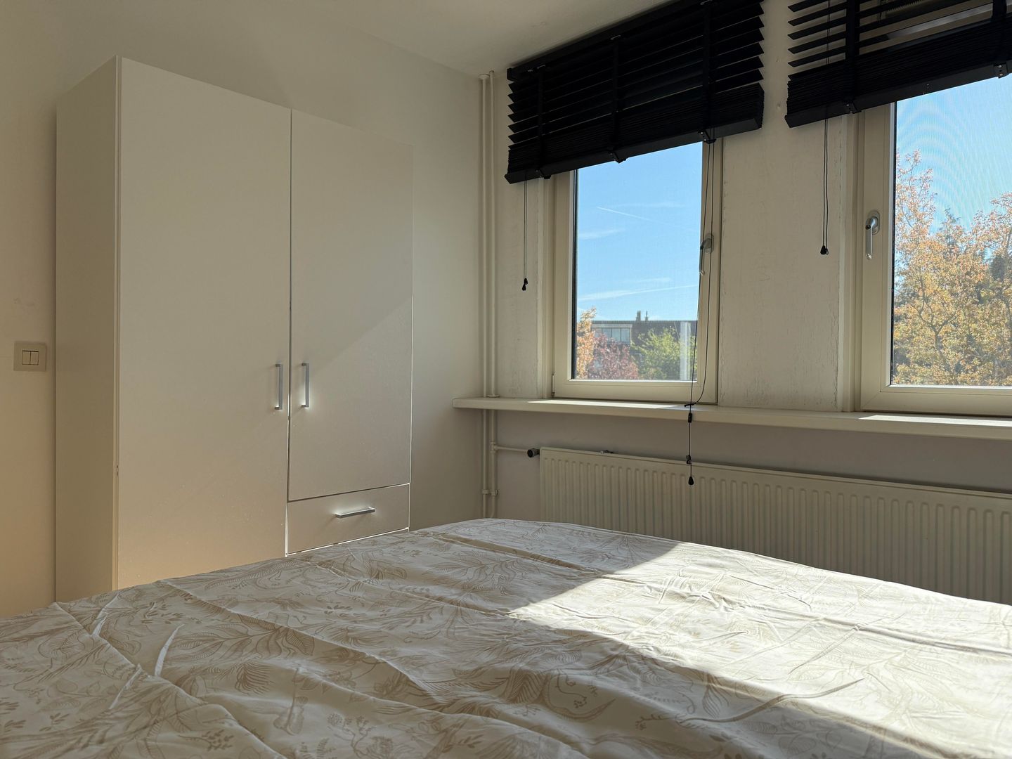 Foto 14 van Botter 43 20