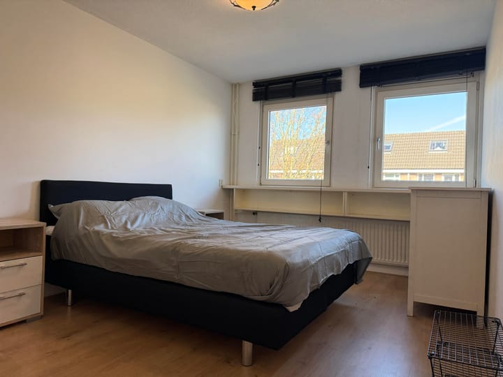 Foto 13 van Botter 43 20