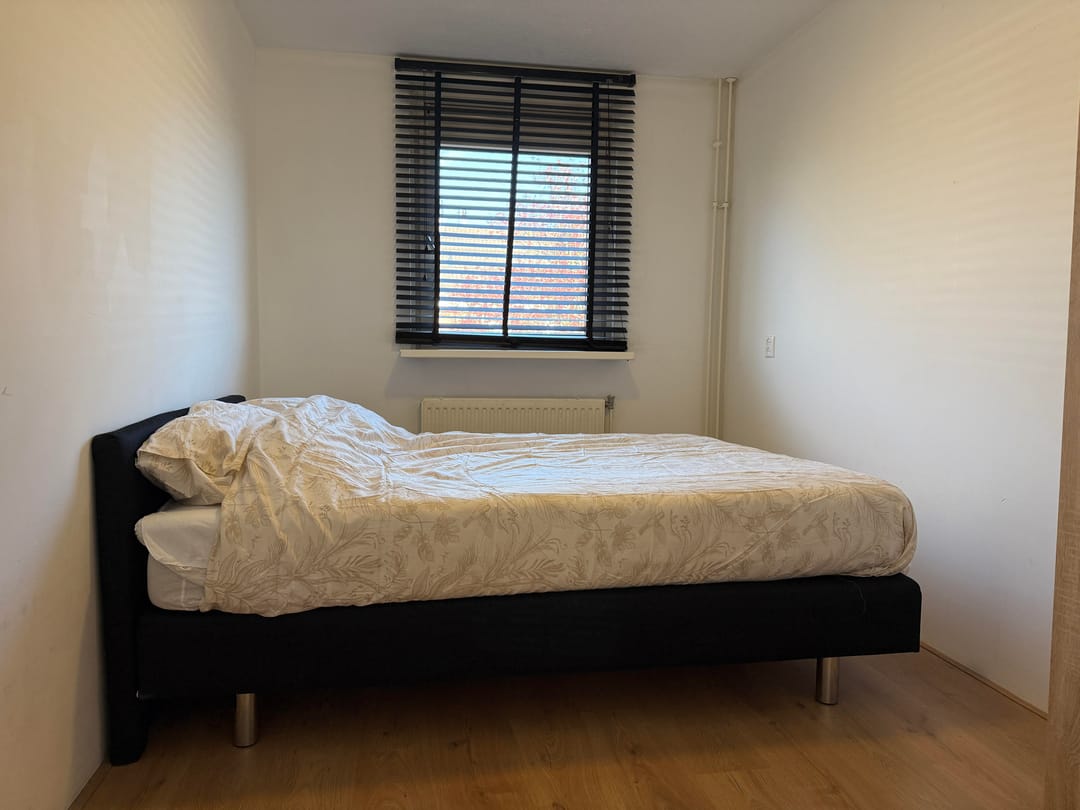 Foto 16 van Botter 43 20