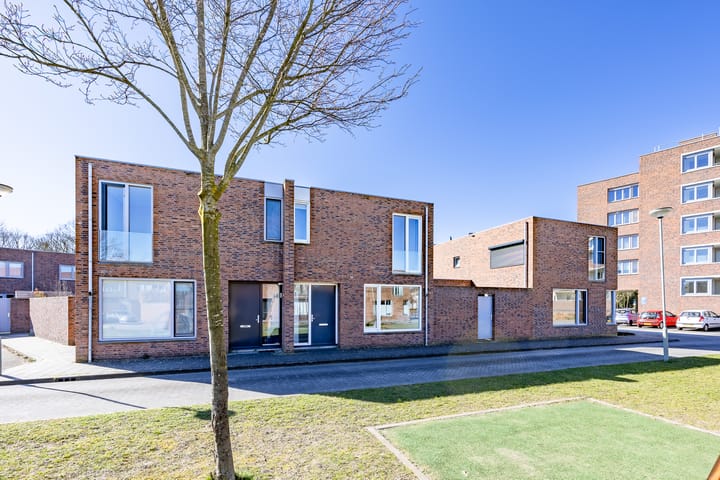 Foto 1 van Circusroos 10