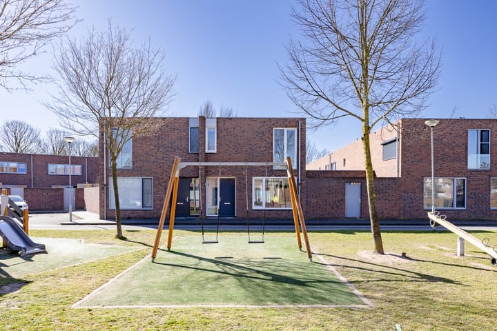 Foto 2 van Circusroos 10