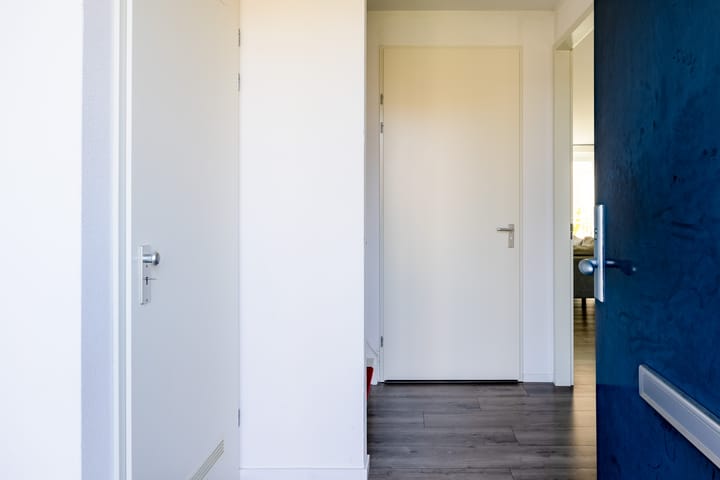 Foto 3 van Circusroos 10