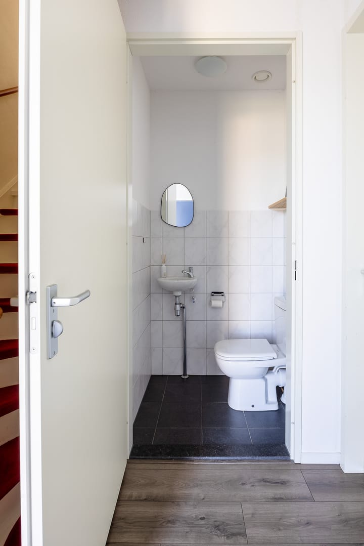 Foto 4 van Circusroos 10