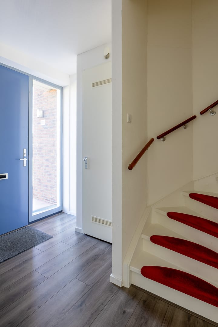 Foto 5 van Circusroos 10