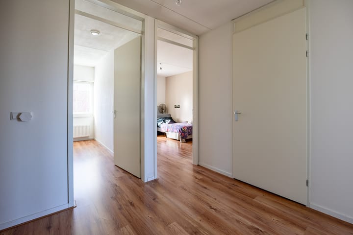 Foto 12 van Circusroos 10