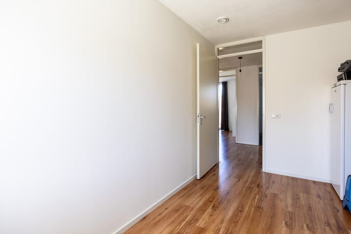 Foto 17 van Circusroos 10