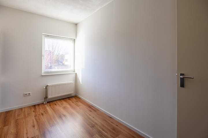 Foto 18 van Circusroos 10