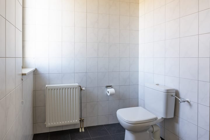 Foto 21 van Circusroos 10