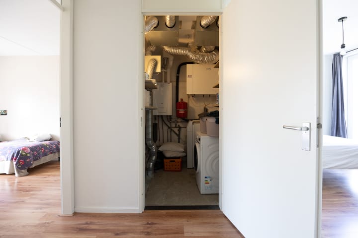 Foto 22 van Circusroos 10