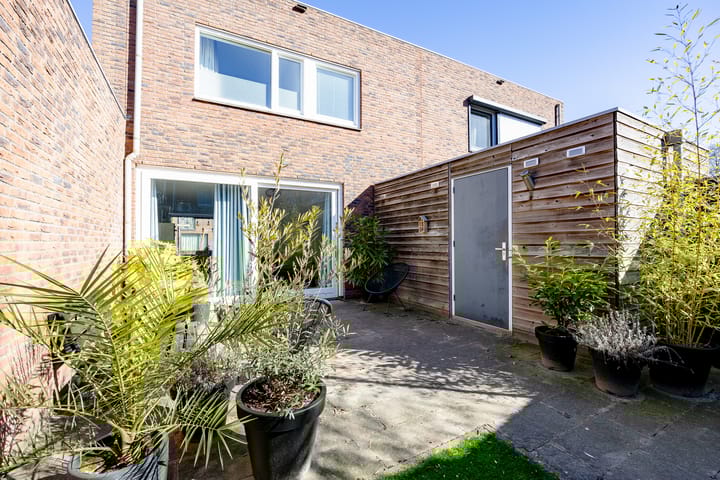 Foto 25 van Circusroos 10