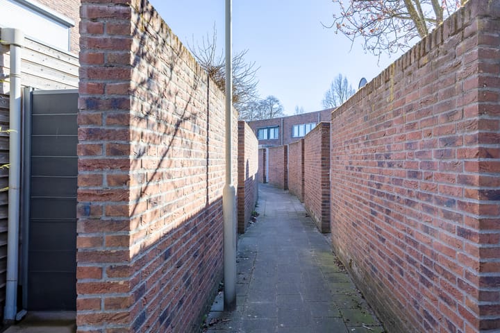 Foto 28 van Circusroos 10