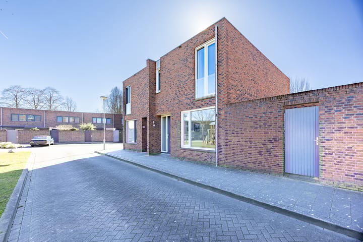 Foto 30 van Circusroos 10