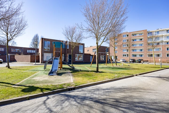 Foto 31 van Circusroos 10