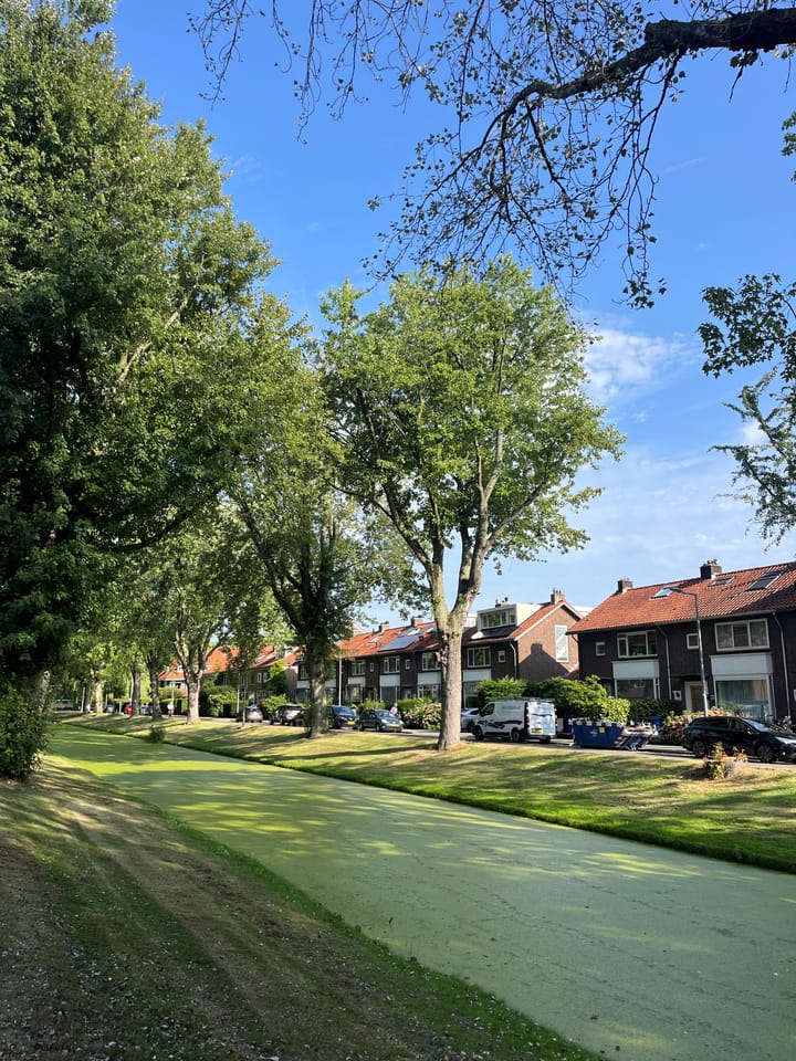 Foto 3 van Breedveldsingel 26