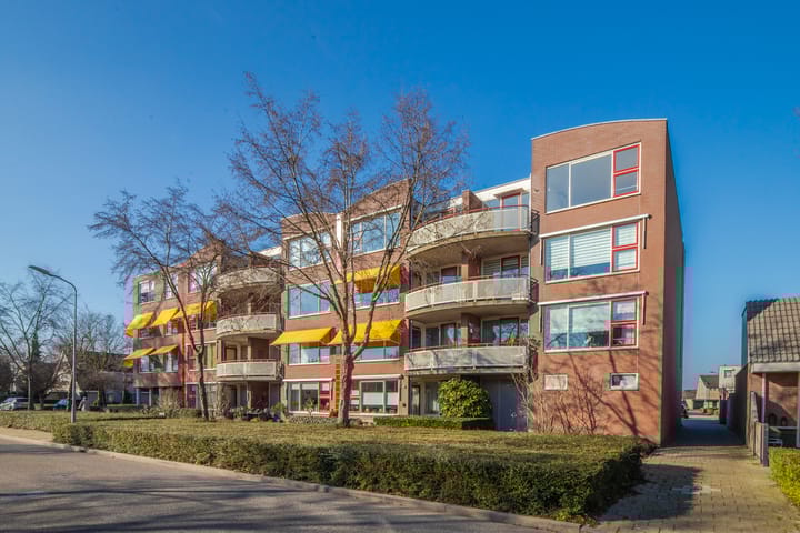 Foto 7 van Schapenweide 50