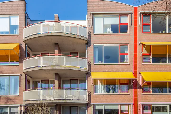 Foto 9 van Schapenweide 50