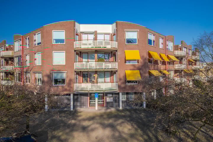 Foto 10 van Schapenweide 50