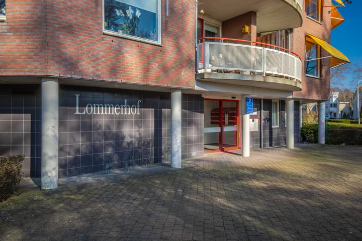 Foto 11 van Schapenweide 50