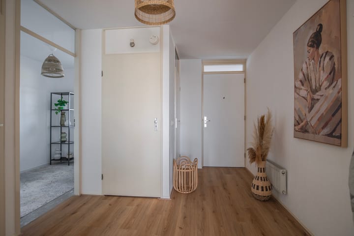 Foto 12 van Schapenweide 50