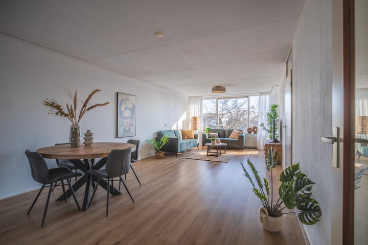 Foto 13 van Schapenweide 50