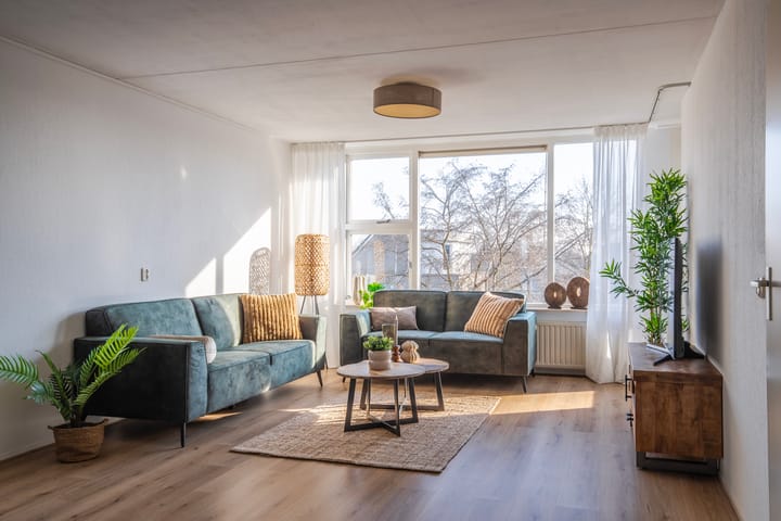 Foto 14 van Schapenweide 50