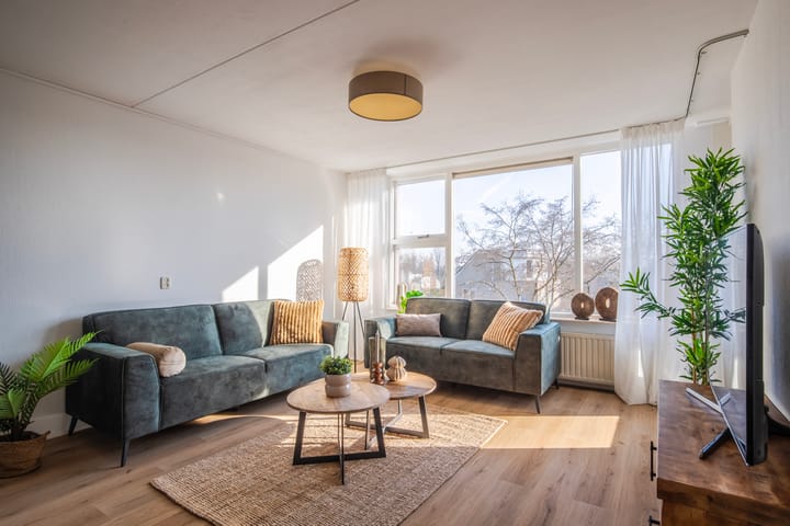 Foto 17 van Schapenweide 50