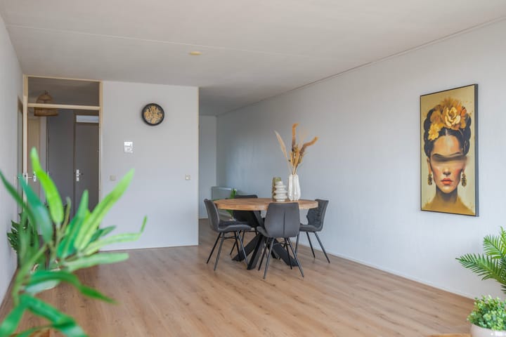 Foto 20 van Schapenweide 50